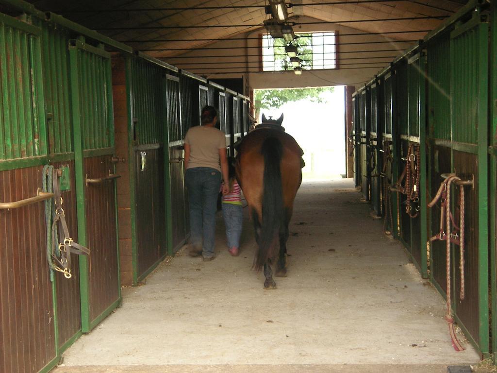 Agriturismo Fano'S Farm Suno Luaran gambar