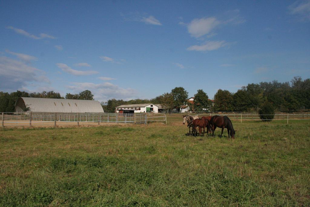 Agriturismo Fano'S Farm Suno Luaran gambar